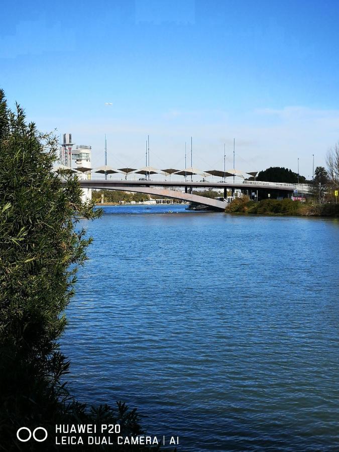 Triana Pura Esencia Daire Sevilla Dış mekan fotoğraf